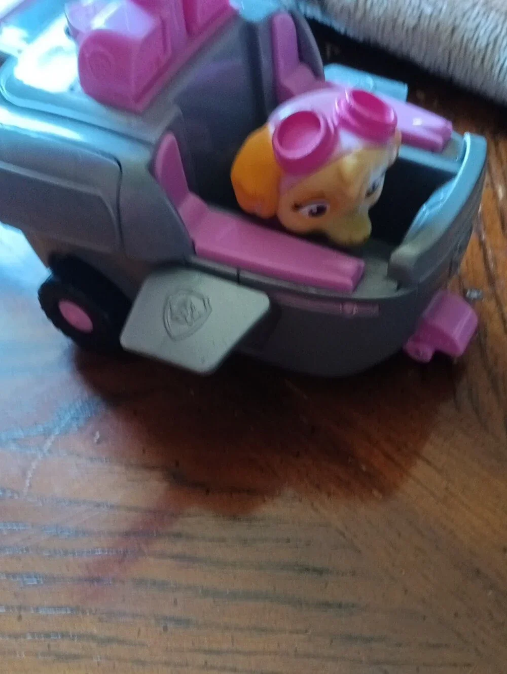 Paw Patrol iconic paw
